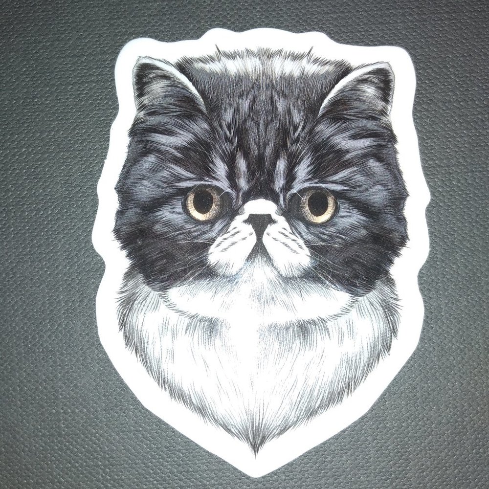 Sad cat sticker